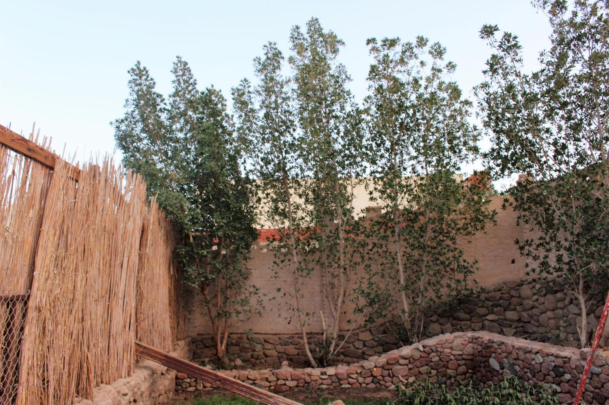 Sinai Old Spices B&B Sharm El-Sheikh Zimmer foto