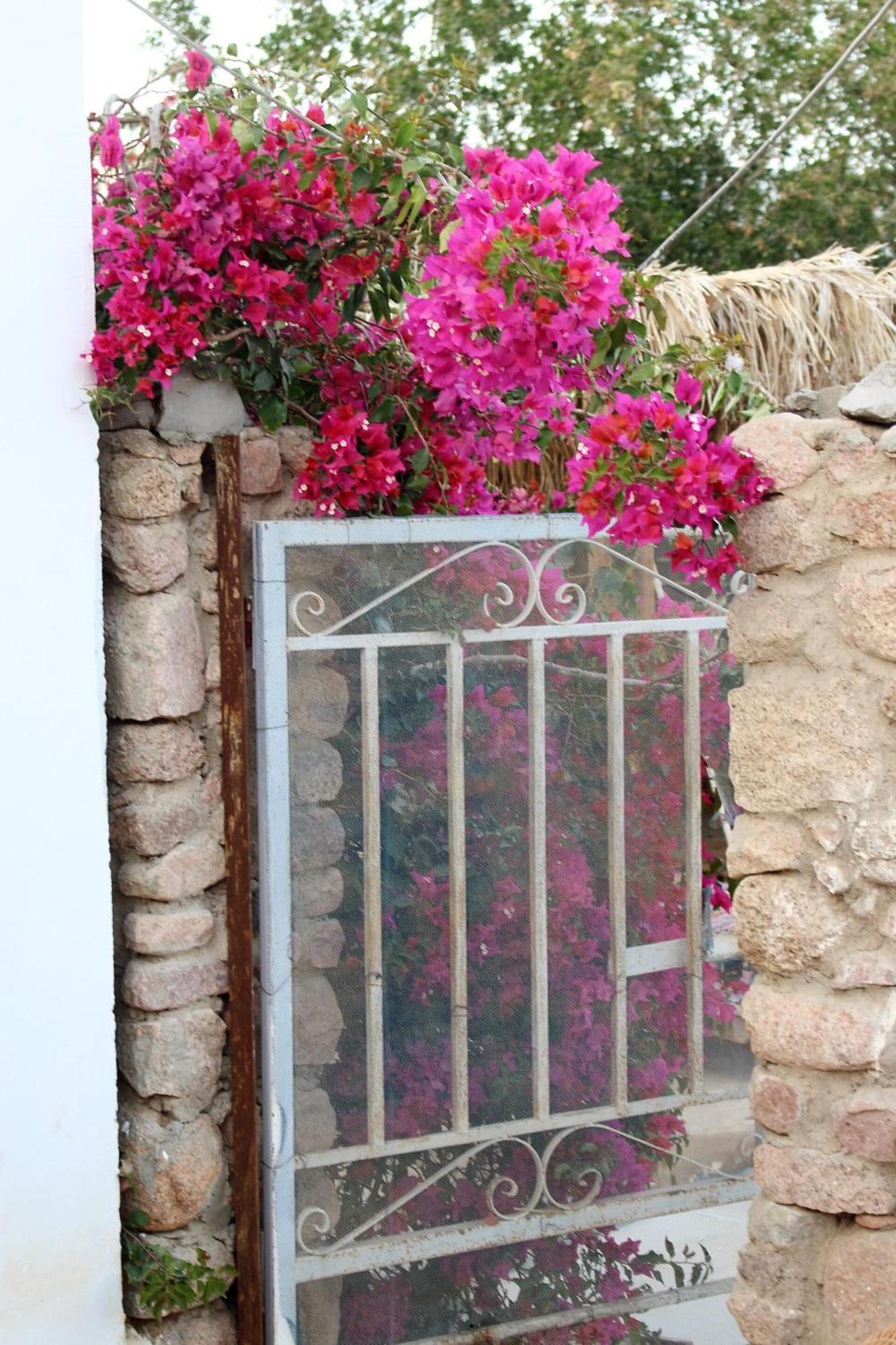 Sinai Old Spices B&B Sharm El-Sheikh Zimmer foto